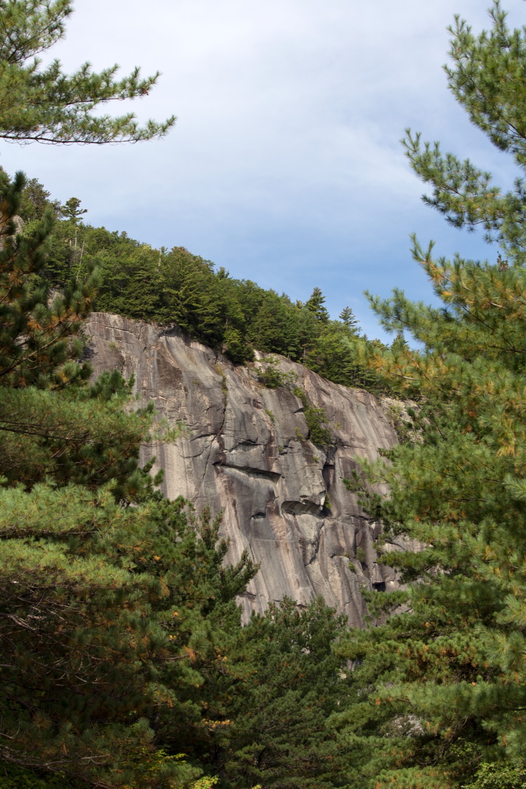 Sheer Rocky Cliff in Summer