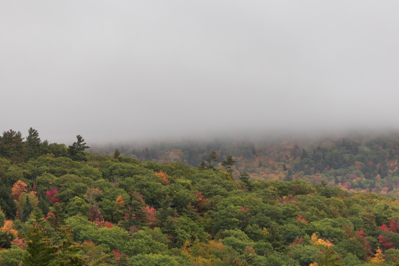 Foggy Early Fall Landscape