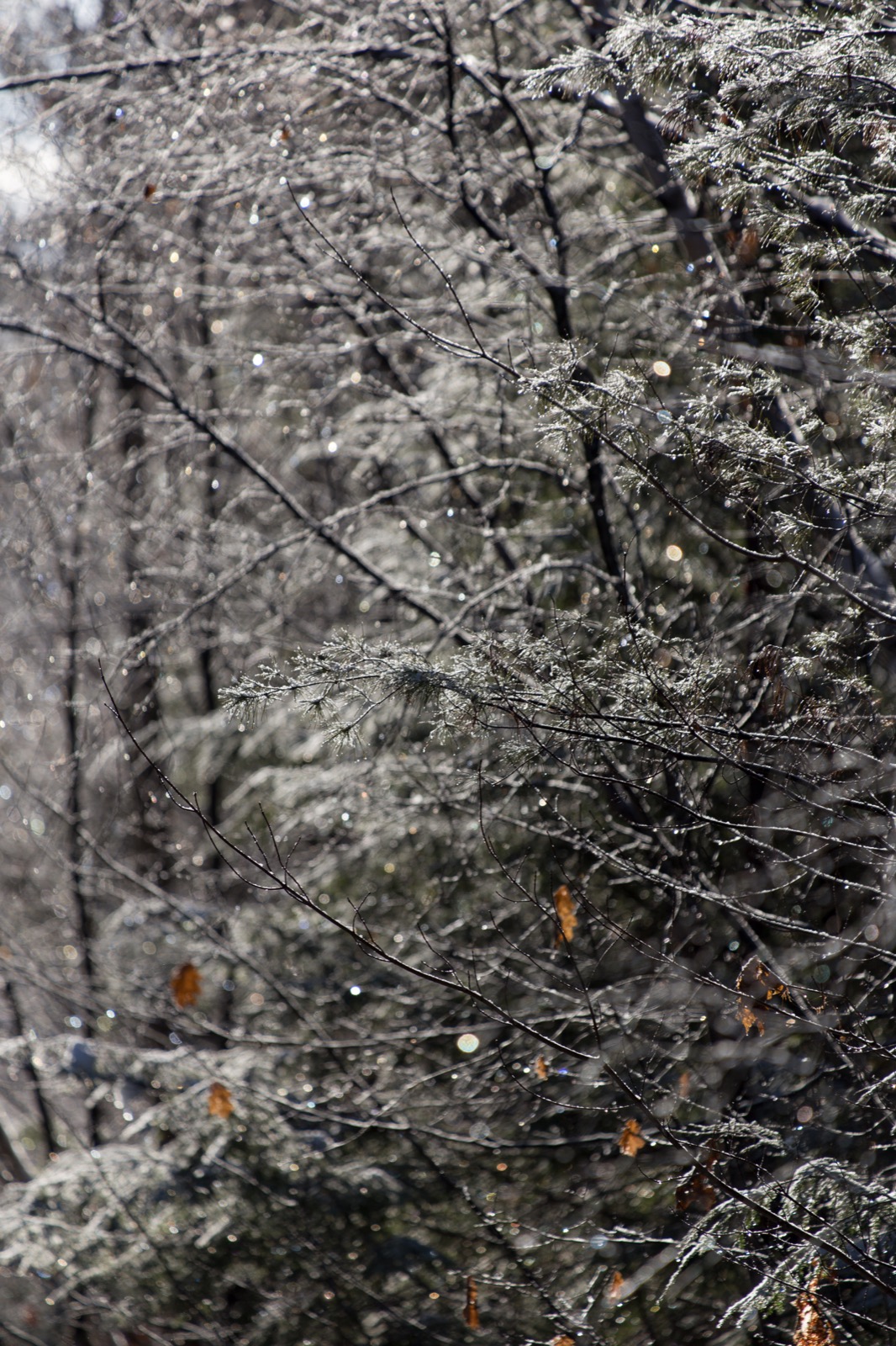 Melt After the Storm