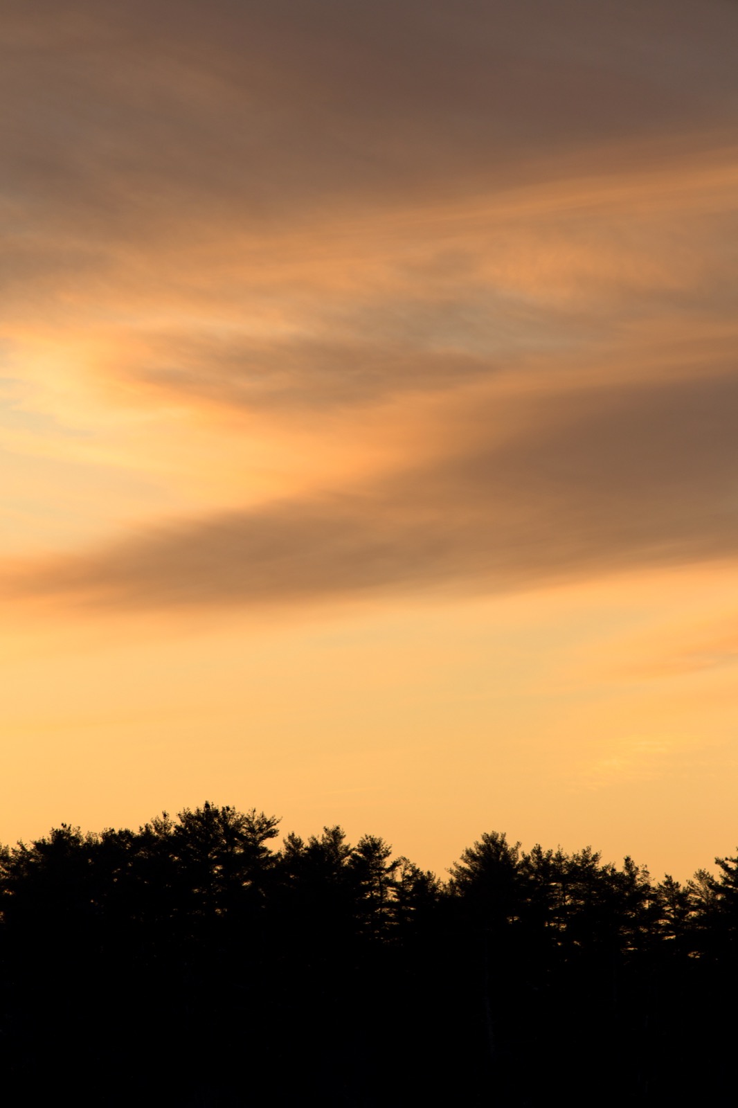 Soft Sunset