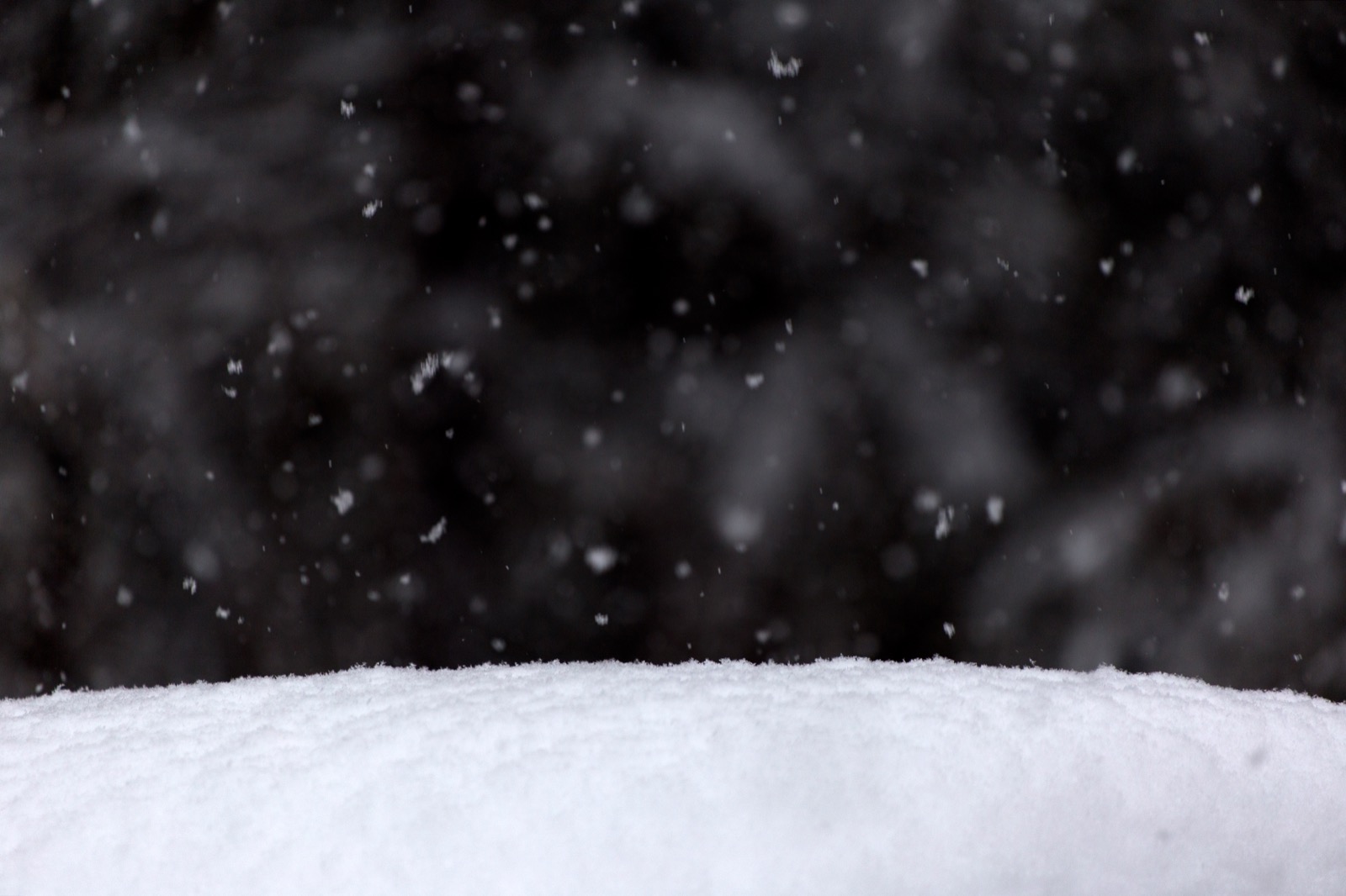 Lightly Falling Snow