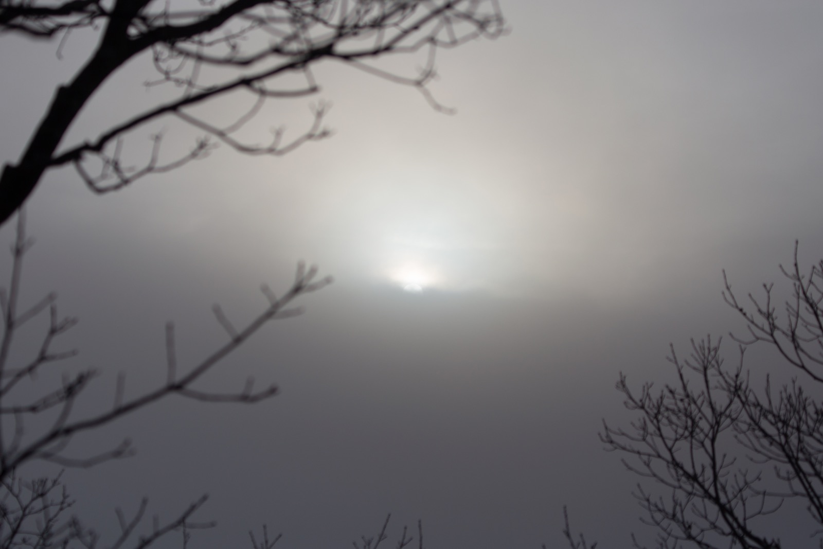 Spooky Sunrise