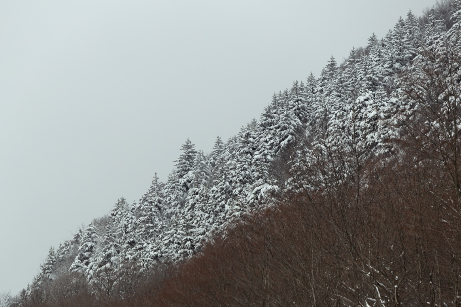 Following a Snow Squall
