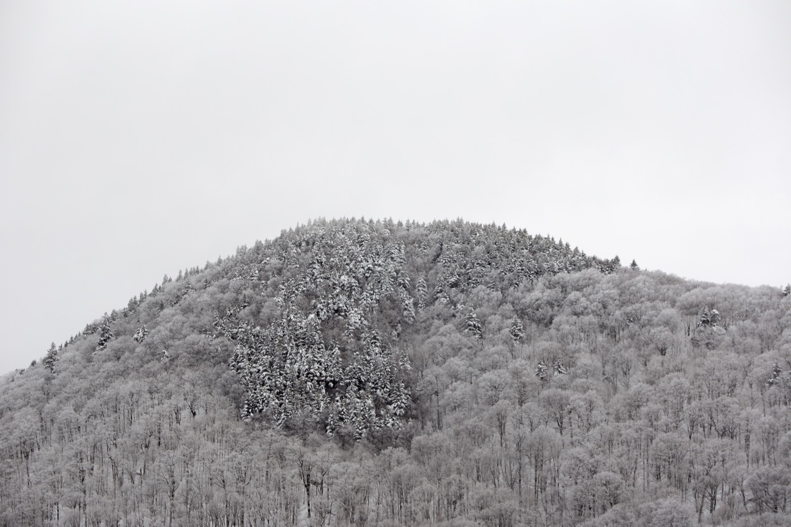 Frosted Mountaintop