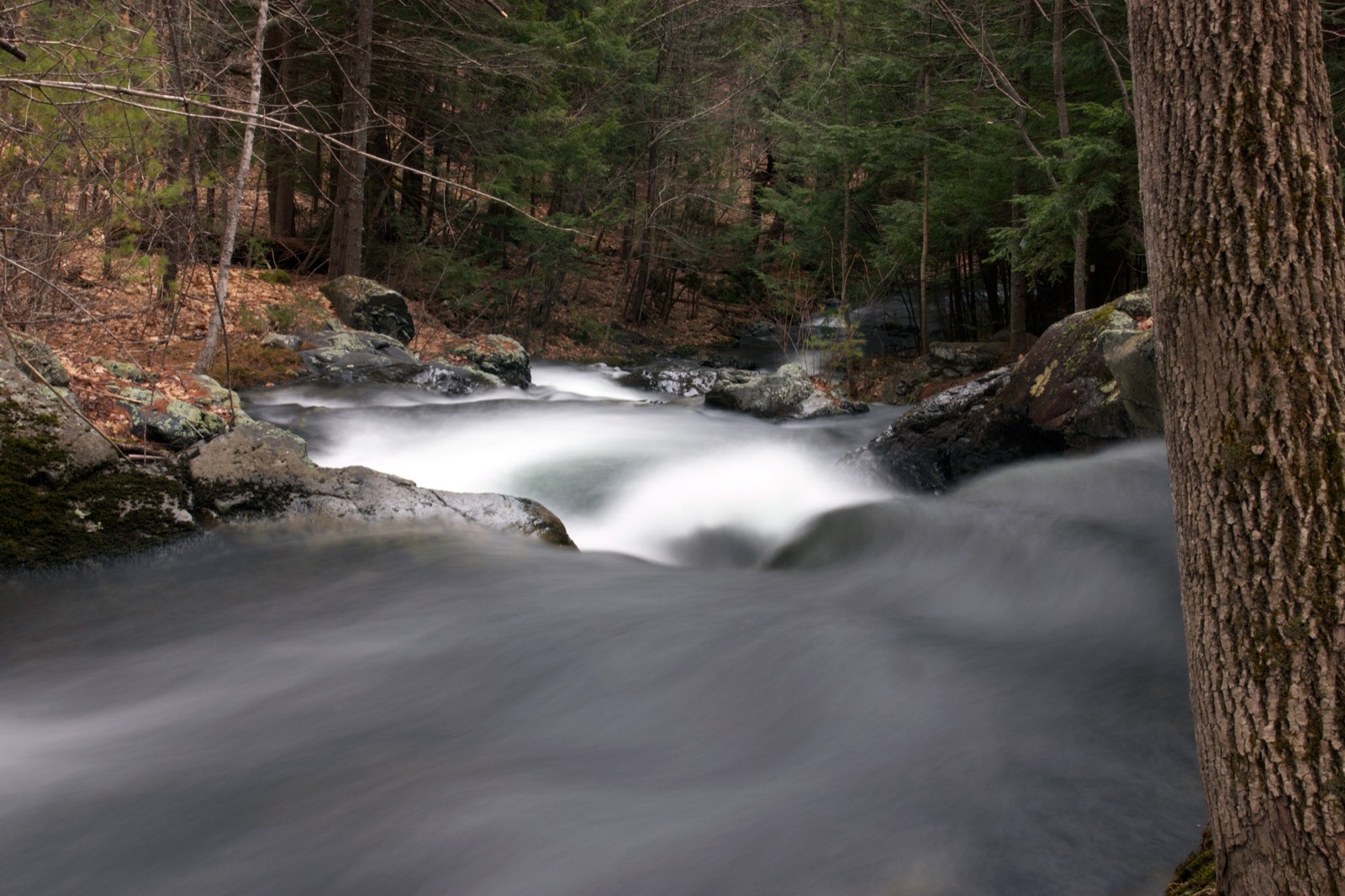 Rushing Waters