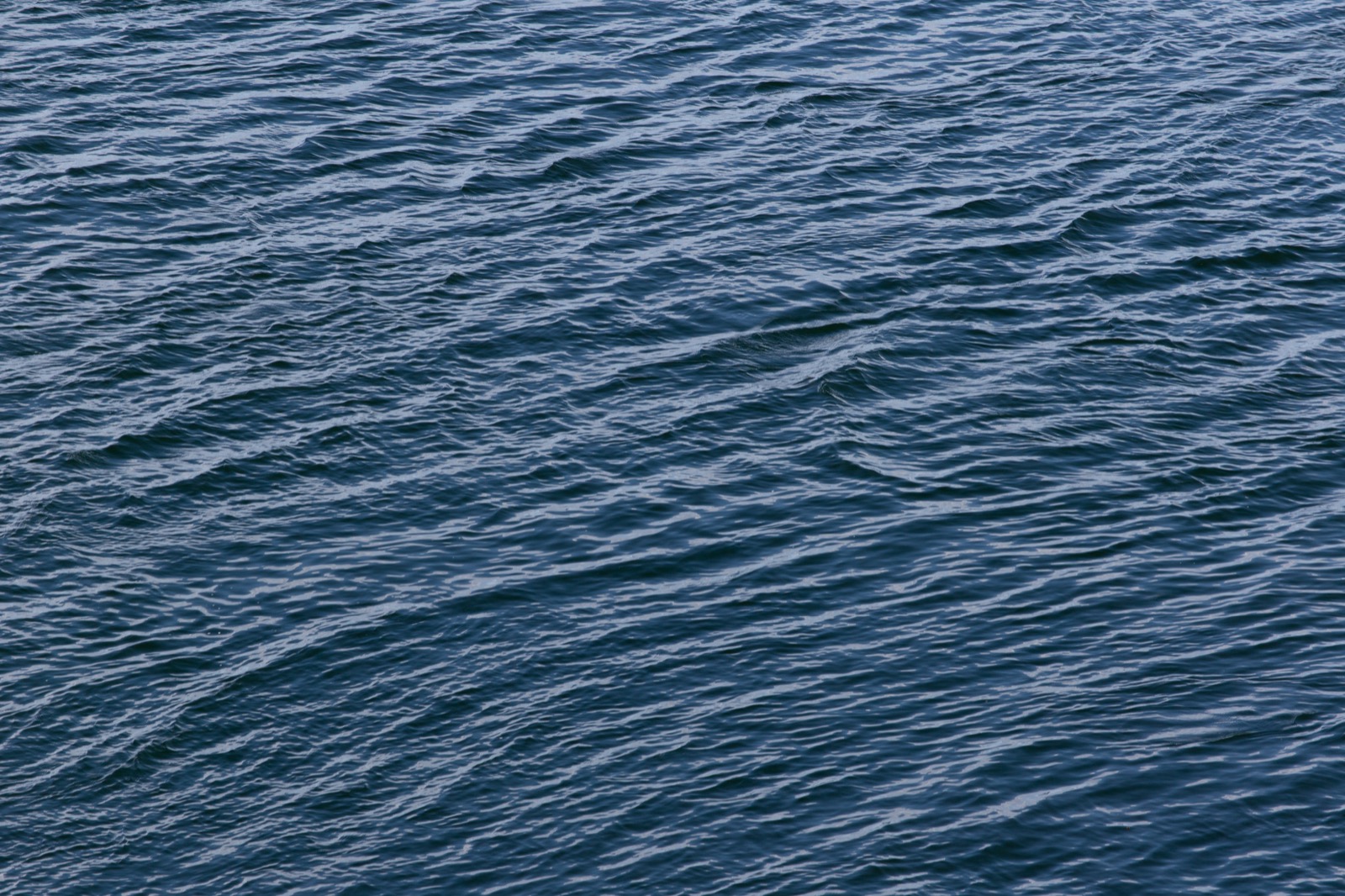 Calm Ocean