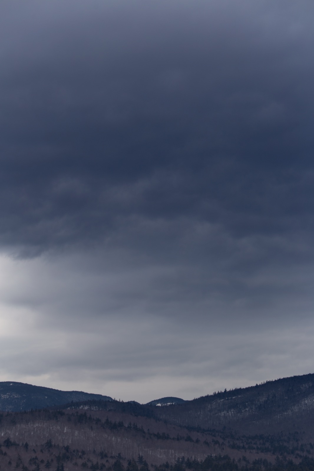 Gloomy Landscape