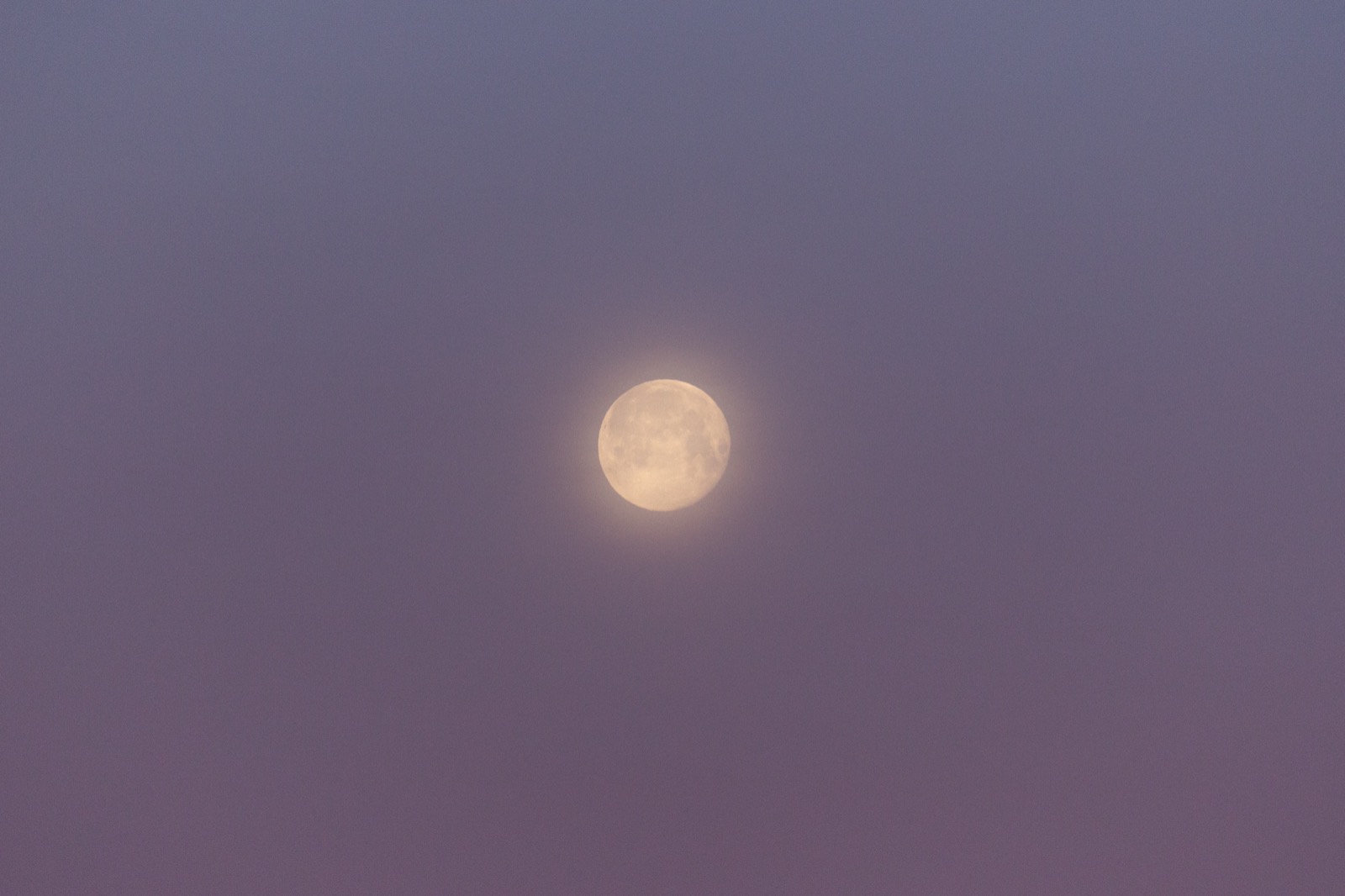 Glowing Moon