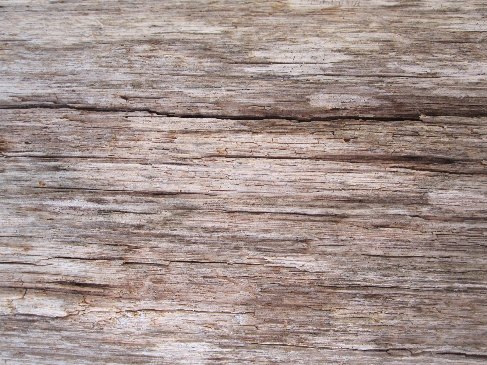 Dry Wood Texture