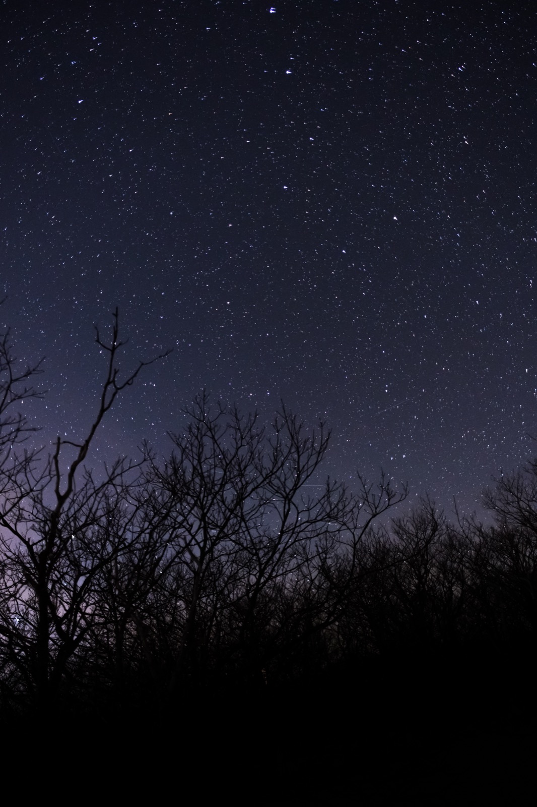 Sparkling Stars