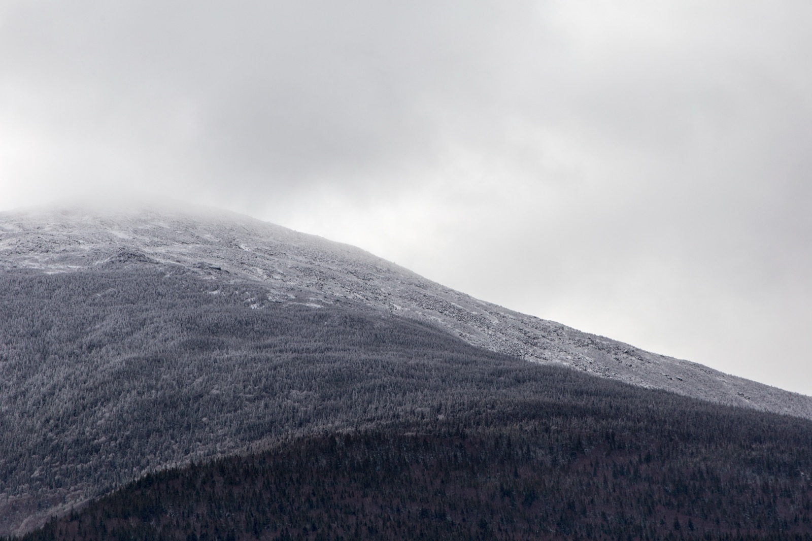 Frosty Winter Landscape