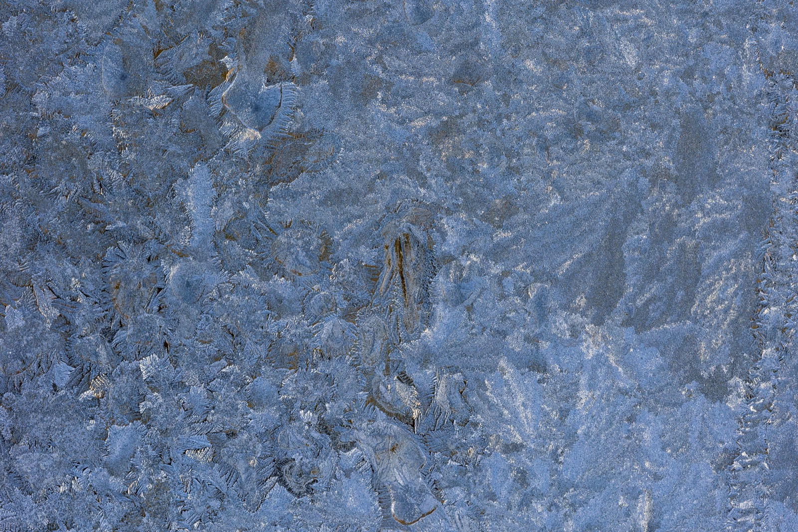 Frosted Winter Texture