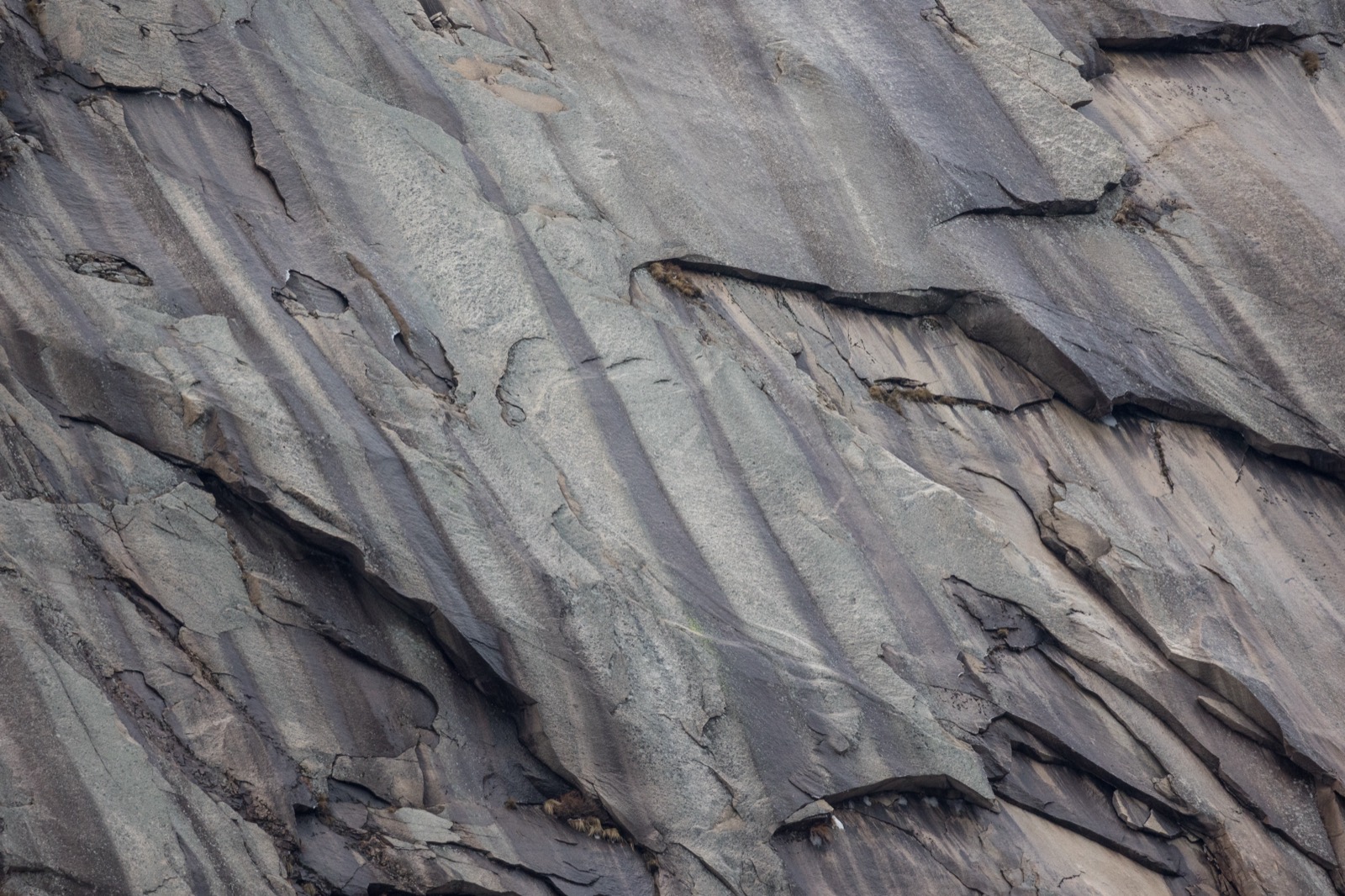 Slick Rock Texture