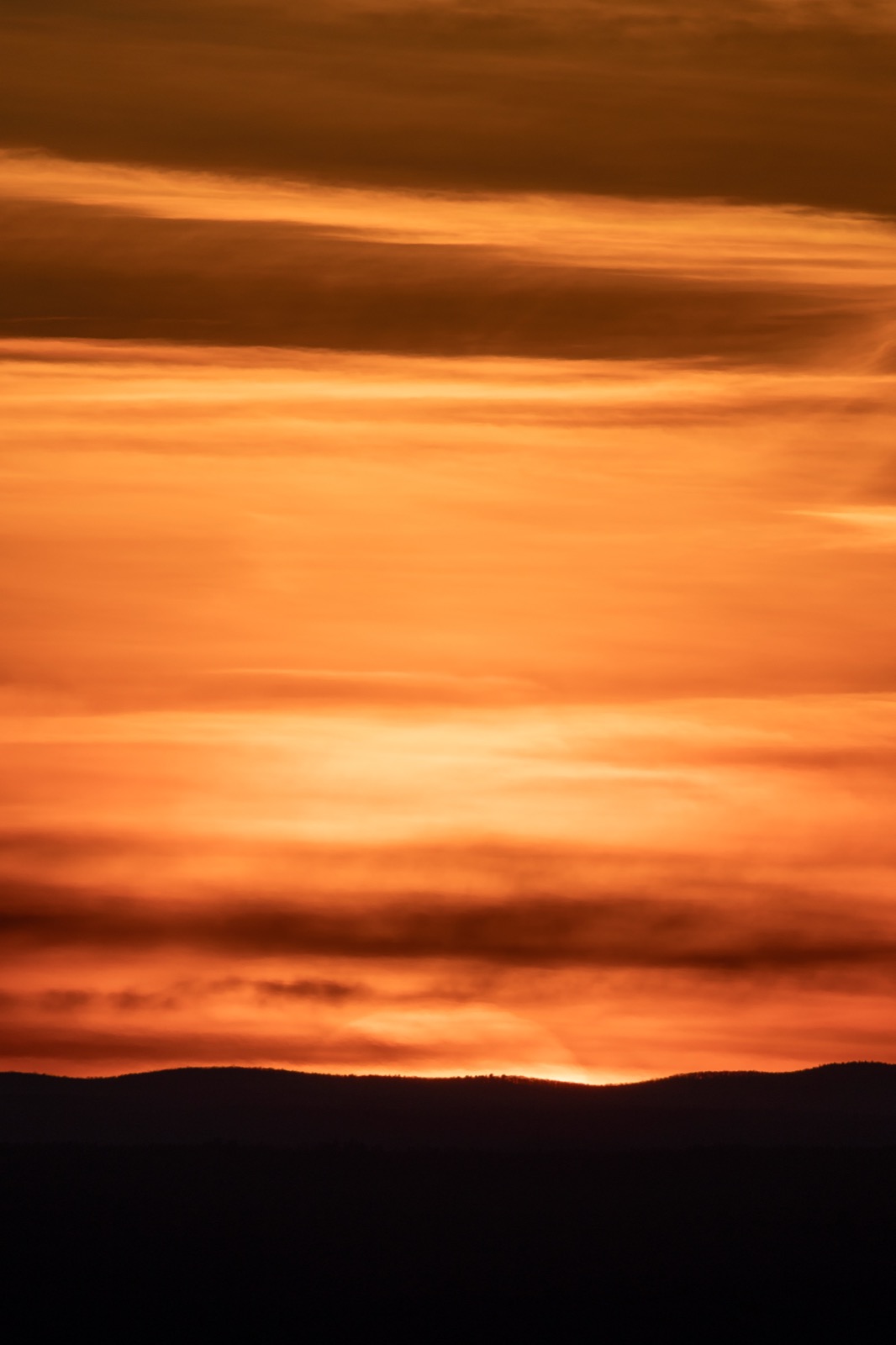 Sunset Sky