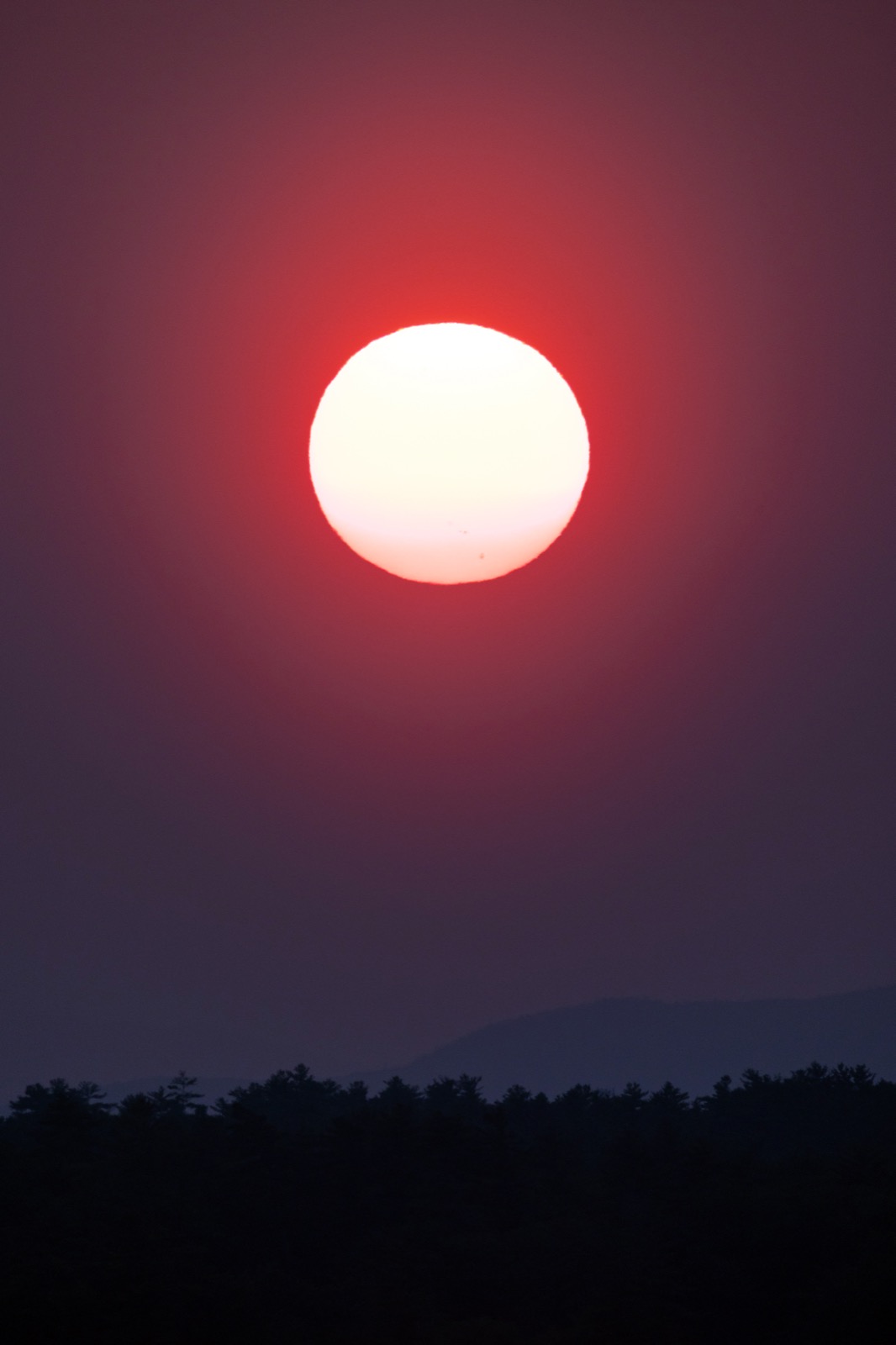 Sunset Mobile Wallpaper