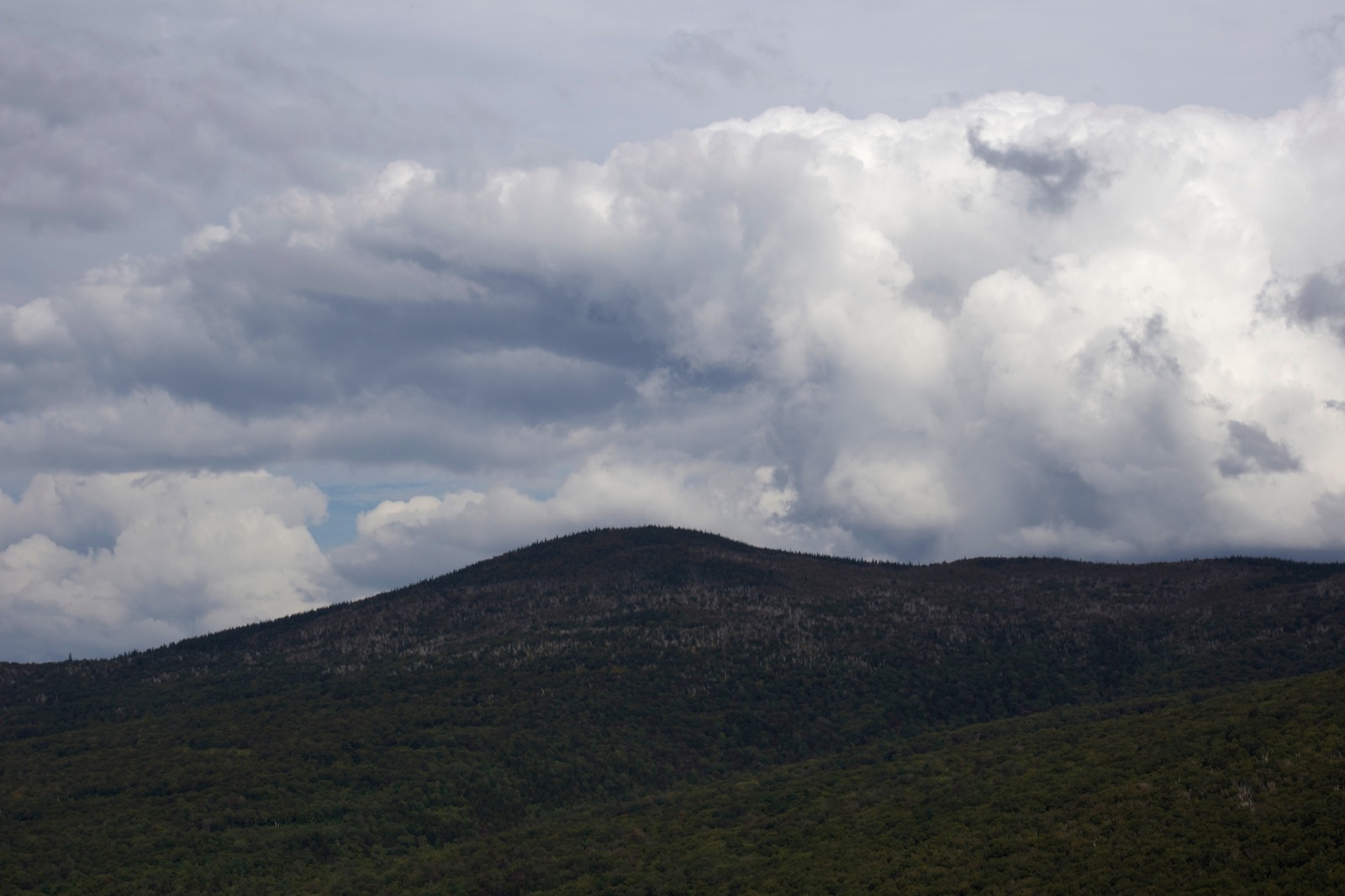 Forested Mountains Under Clouds