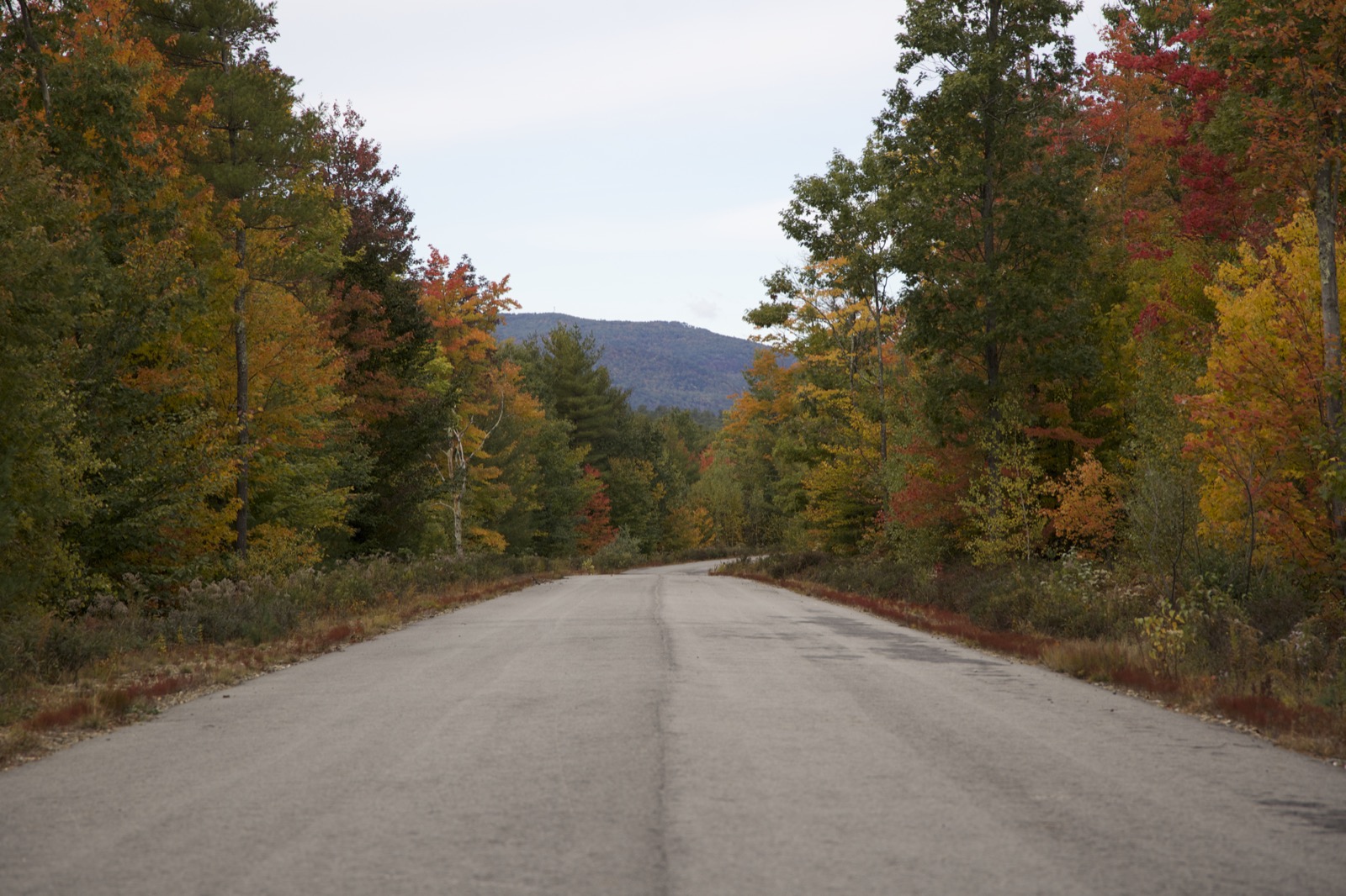 Rural Paved Road in the Fall