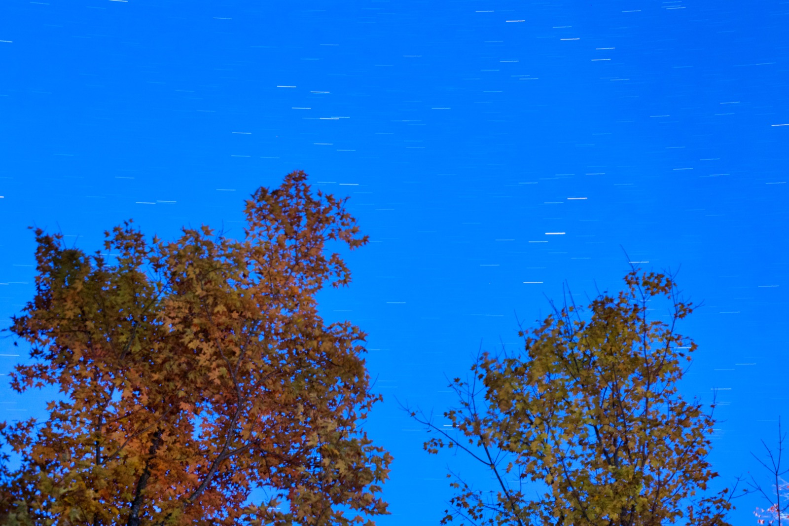 Short Star Trails