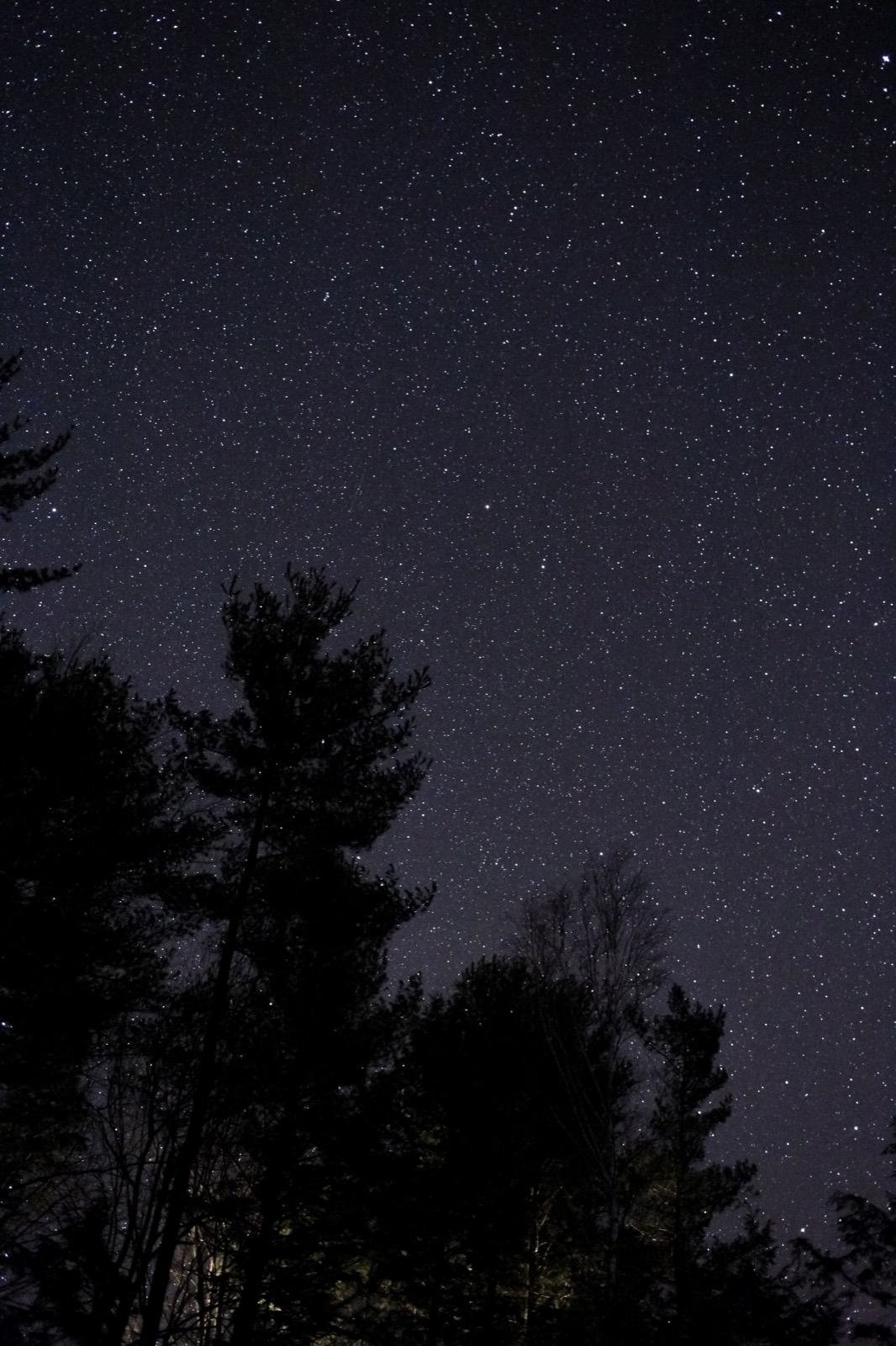 Dark Night
