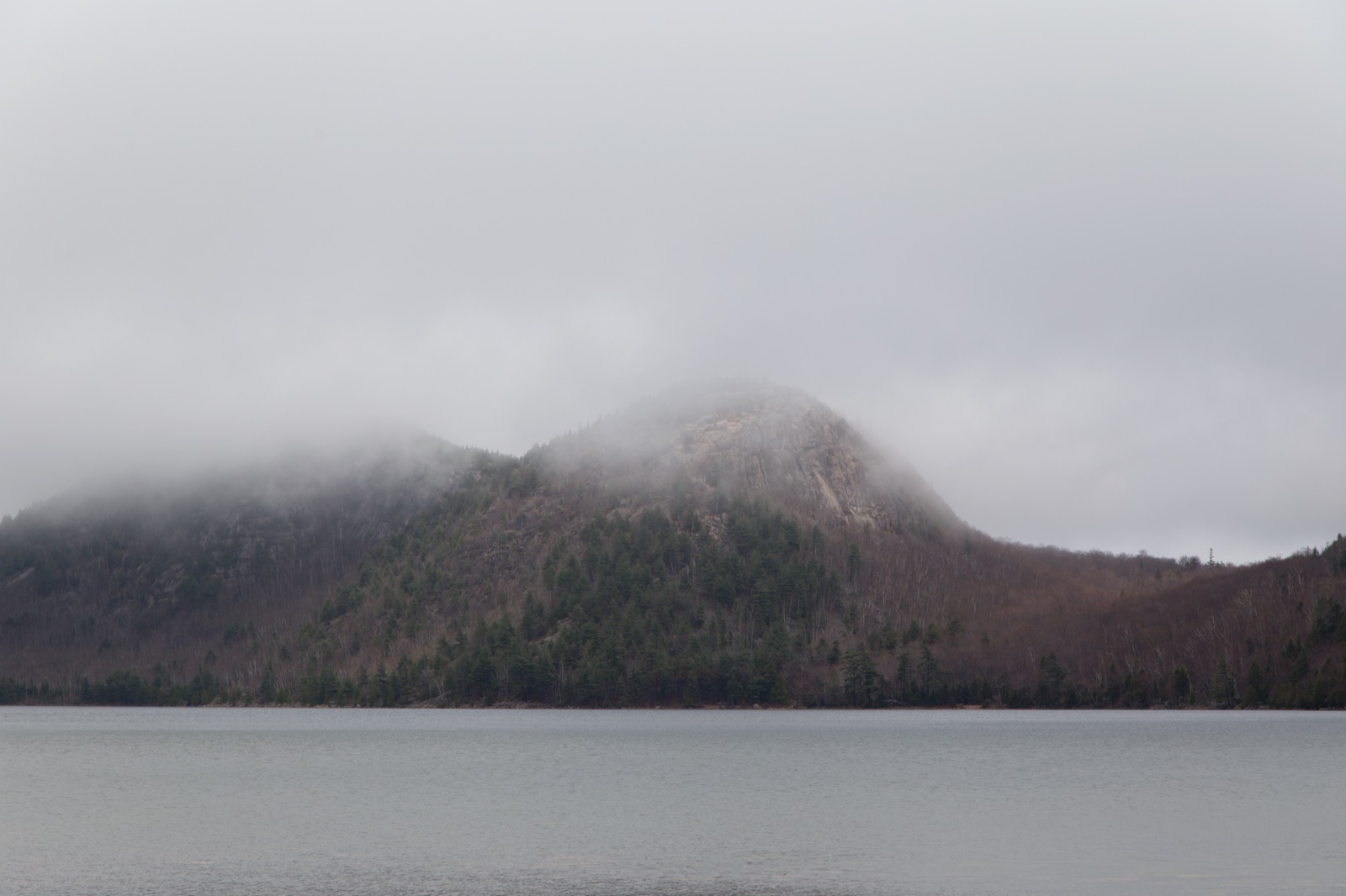 Rain and Fog Over Pond