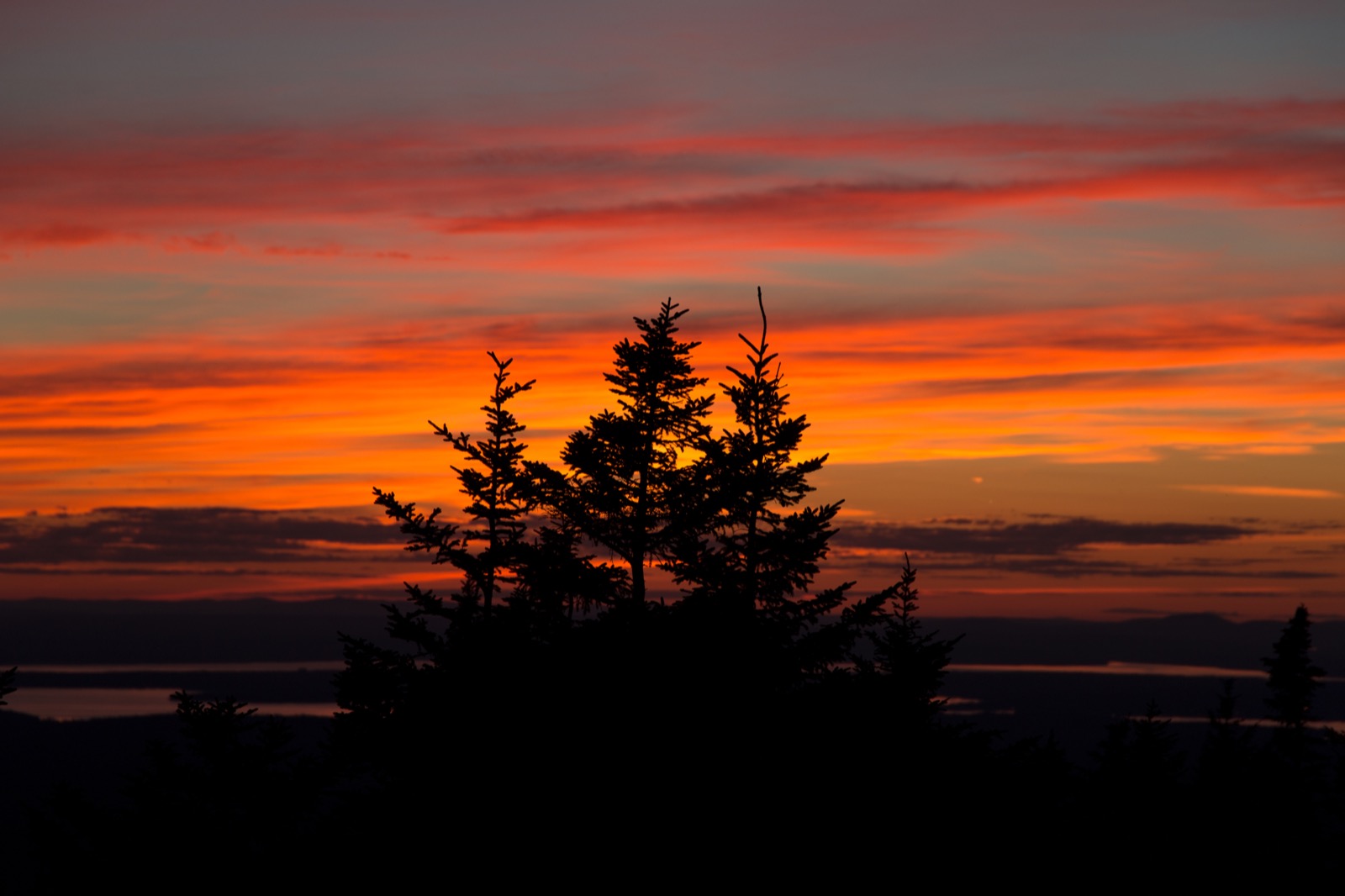 Vibrant Striped Sunset with Tree Silhouettes