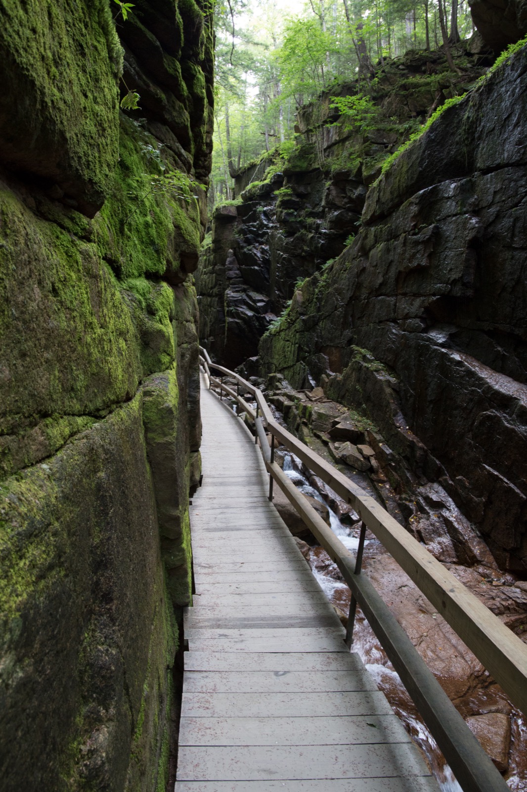 Narrow Boardwalk Along Mossy Cliff Walls