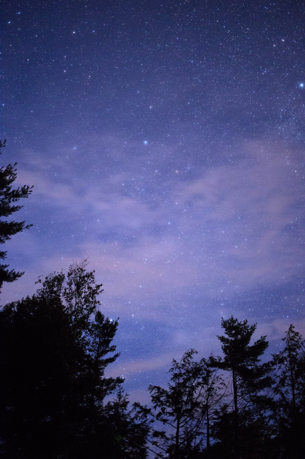 Stars at Blue Hour