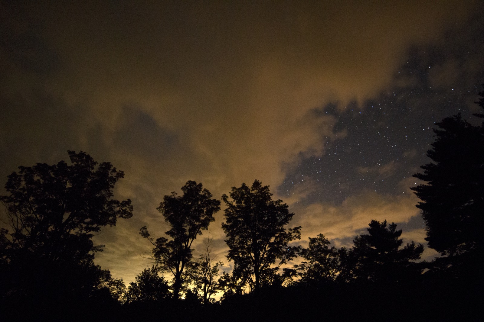 Moody Night