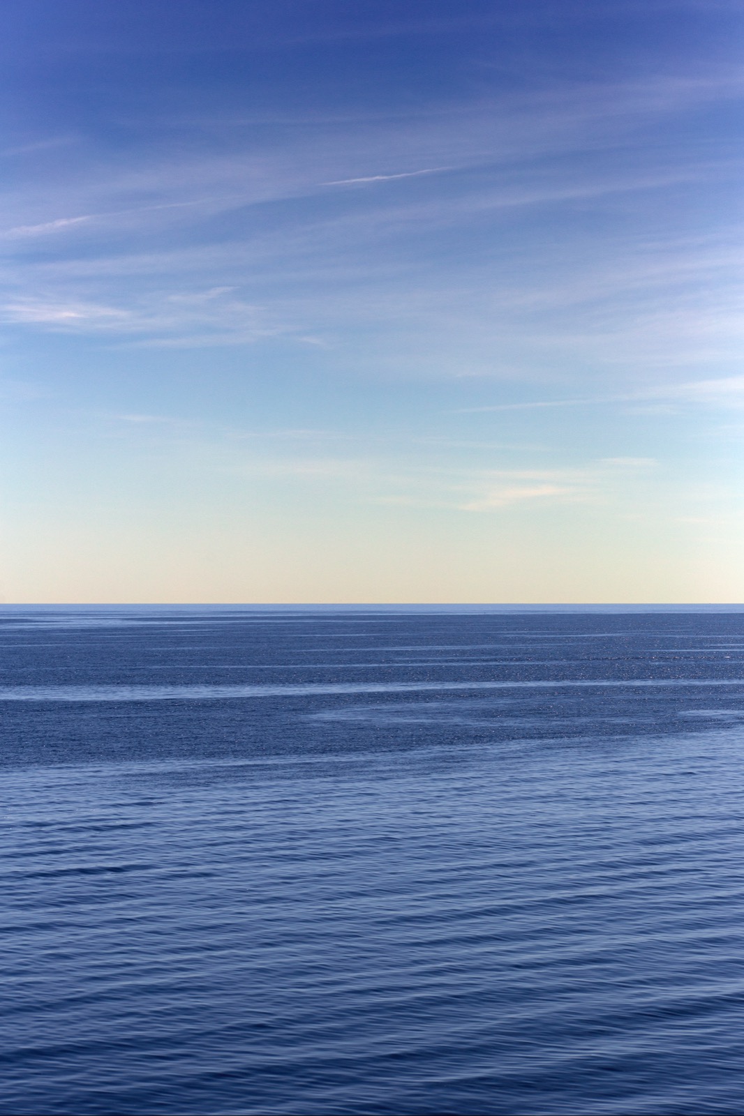 Blue-on-Blue