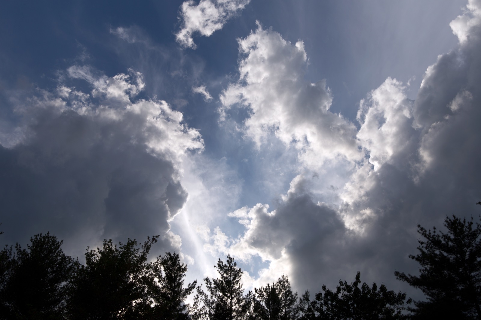 Silhouetted Clouds