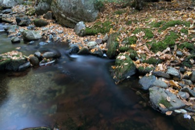 Peaceful Fall Stream
