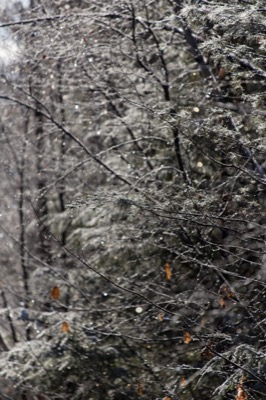 Melt After the Storm
