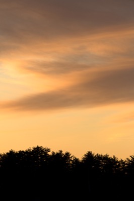 Soft Sunset