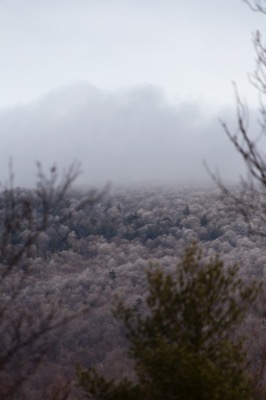 Cold, Desolate Landscape