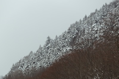 Following a Snow Squall