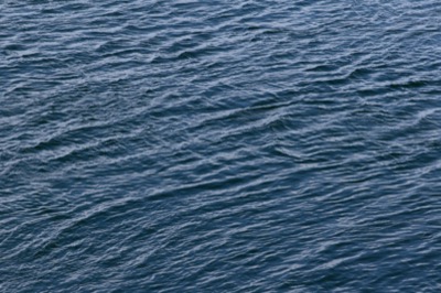 Calm Ocean