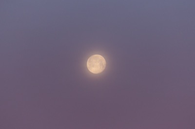 Glowing Moon
