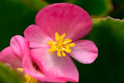 A Sign of Spring