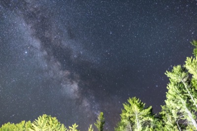 Milky Way Over Bright Trees