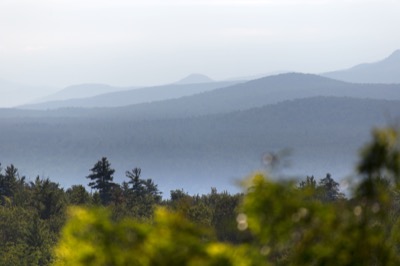 Layered Mountains and Trees
