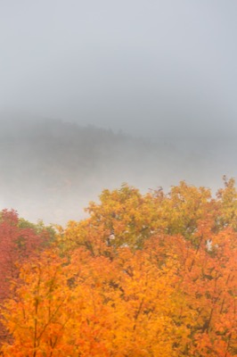 Autumn Foliage in Misty Mountains