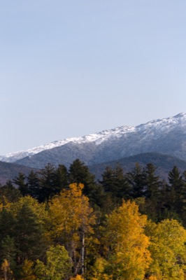 Fresh Snowfall Above Autumn Foliage