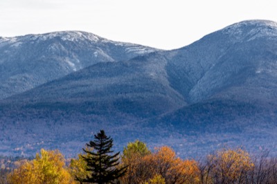 Trees Before Winter Mountains