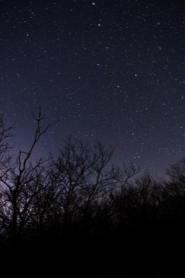 Sparkling Stars