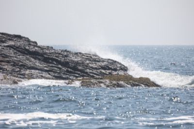 Ocean Spray