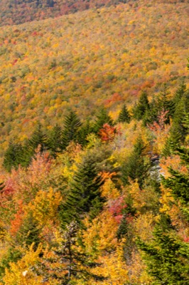 Autumn Landscape
