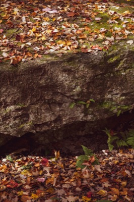 Autumn Hiking Trail