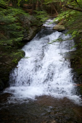 Lush Waterfall