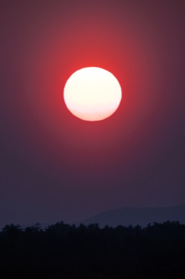 Sunset Mobile Wallpaper