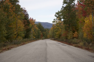 Rural Paved Road in the Fall